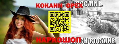 молекула духа Новозыбков