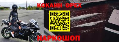 шишки Новокубанск