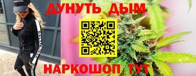 молекула духа Новозыбков