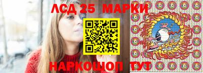 молекула духа Новозыбков