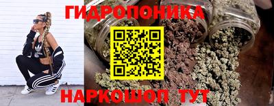 молекула духа Новозыбков
