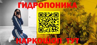 молекула духа Новозыбков