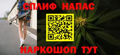 молекула духа Новозыбков